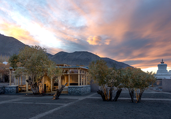 The Postcard in the Himalayan Willows - Leh
