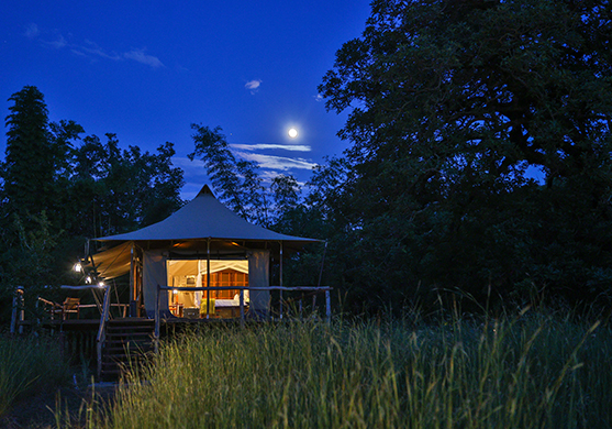 The Untamed Bandhavgarh